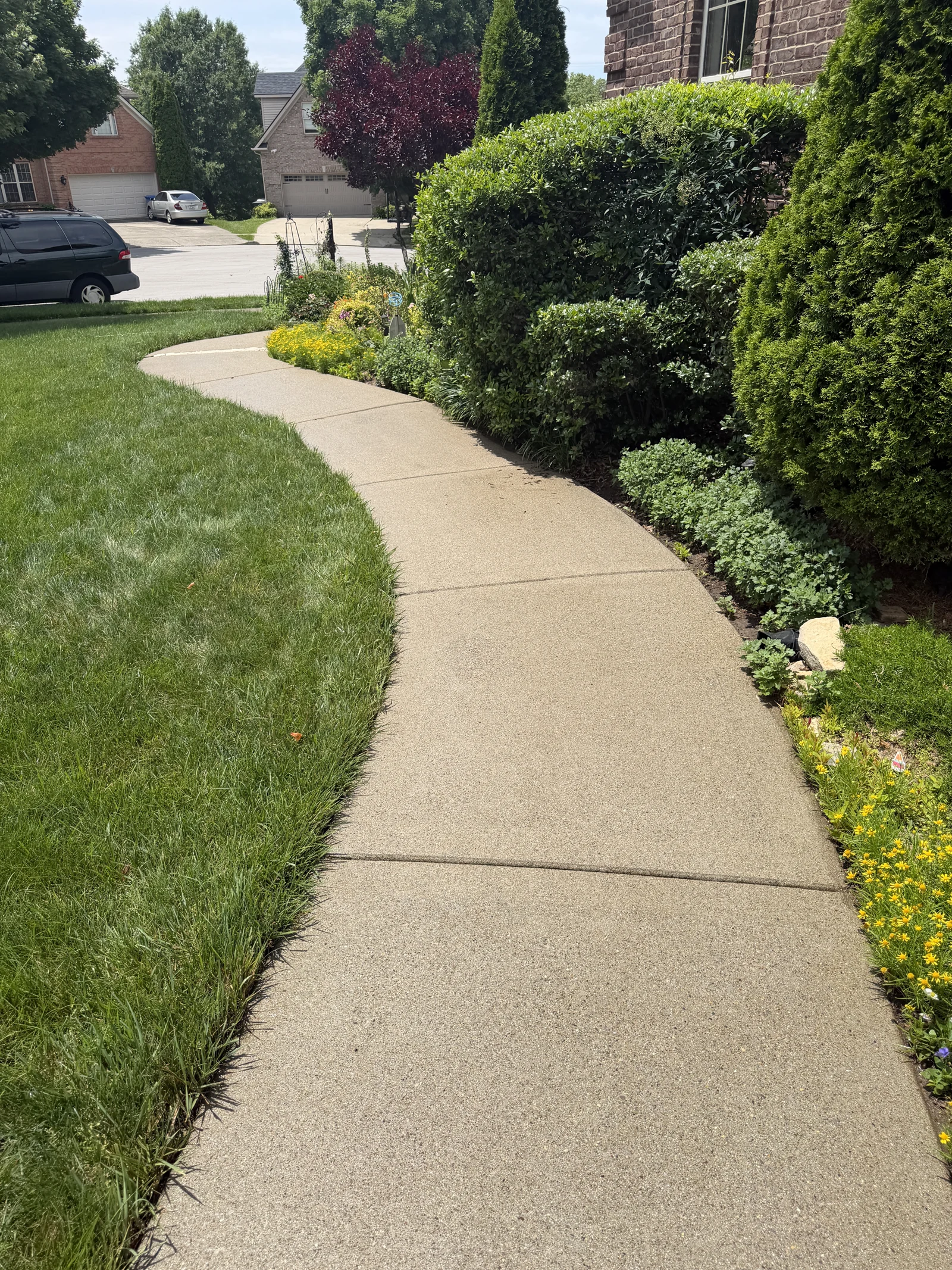 Clean curved concrete walkway beside grass and landscaped garden beds