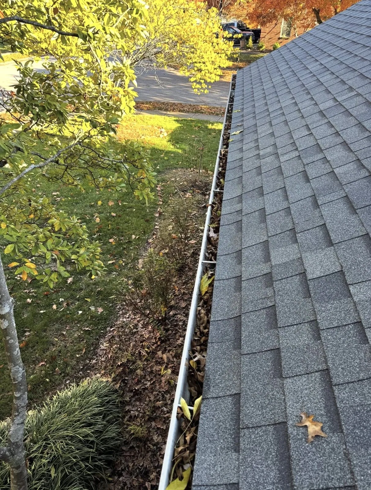 Asphalt-shingle roofline at a Lexington Kentucky home documented during an Arorix gutter-cleaning project