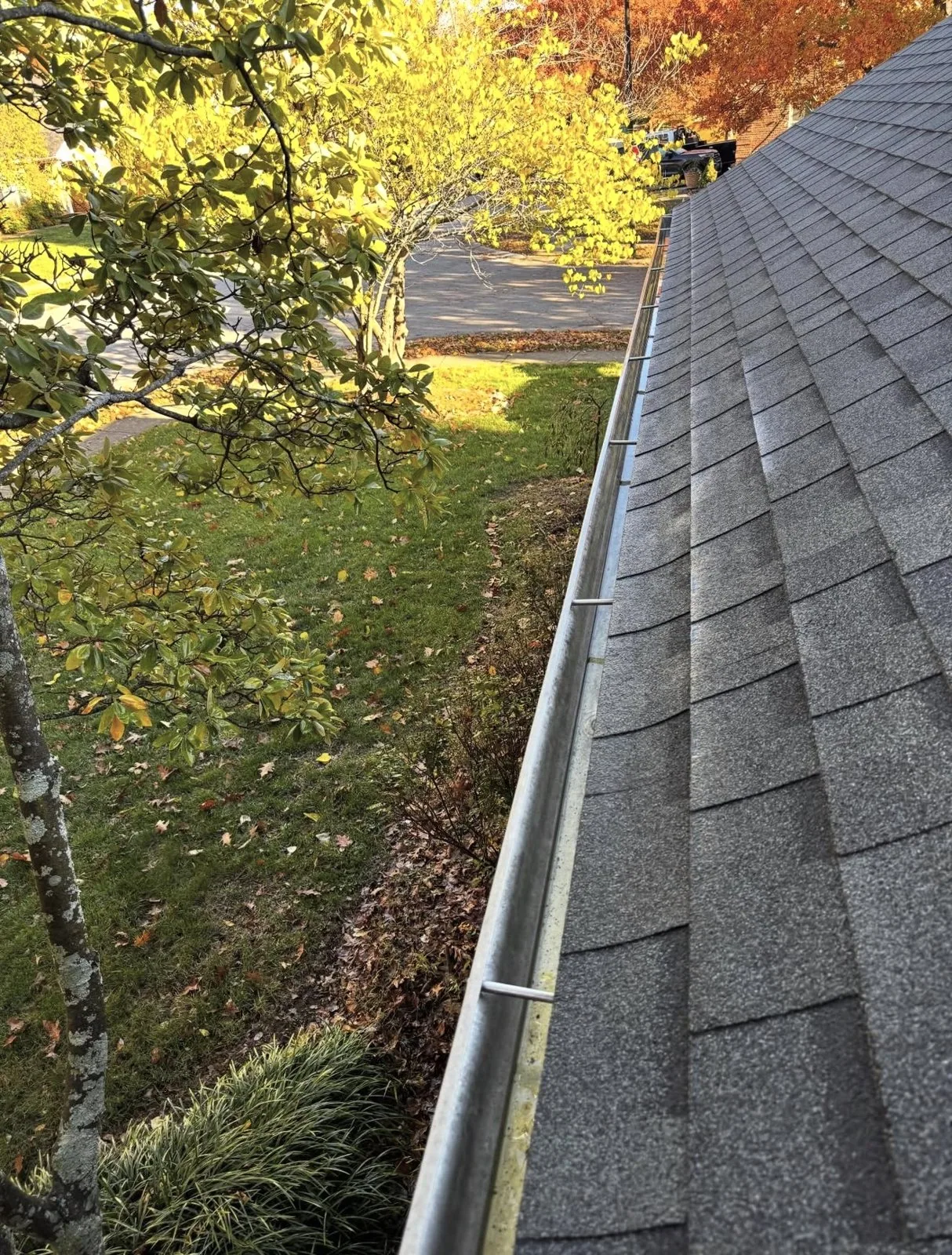 Asphalt-shingle roof and gutter line photographed during an Arorix service visit in Lexington Kentucky